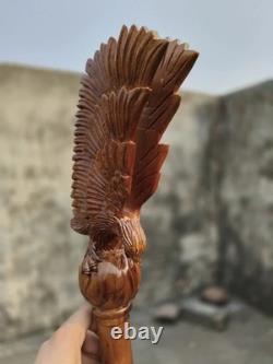 Wooden walking stick hand carved Beautiful Eagle Heavy wooden walking cane