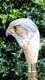 Wooden walking stick hand carved Bird wooden walking cane
