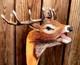 Wooden walking stick hand carved beautiful Animal wooden walking cane