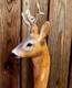 Wooden walking stick hand carved beautiful Animal wooden walking cane