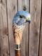 Wooden walking stick hand carved beautiful bird wooden walking cane