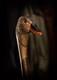Wooden walking stick hand carved bird handmade wooden walking cane