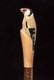 Wooden walking stick hand carved bird wooden walking cane