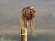 Wooden walking stick hand carved bird wooden walking cane