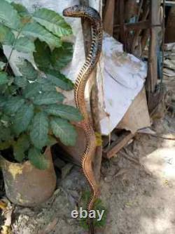 Wooden walking stick hand carved cobra snake handmade walking cane animal