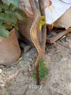 Wooden walking stick hand carved cobra snake handmade walking cane animal