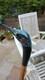 Wooden walking stick hand carved swan bird wooden walking cane