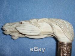 Wow 1916 UMBRELLA Carved HORSE 5 In Organic Bone Horn Cleveland OH Walking Stick