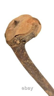 Zulu Knobkerrie Carved Wood Walking Stick Dori Collection
