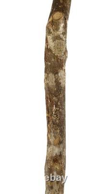 Zulu Knobkerrie Carved Wood Walking Stick Dori Collection
